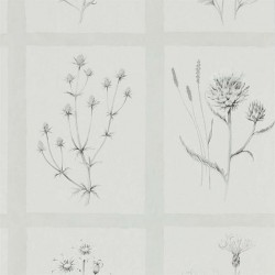 Обои Sanderson Embleton Bay Little Thistles 216512