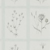 Обои Sanderson Embleton Bay Little Thistles 216513