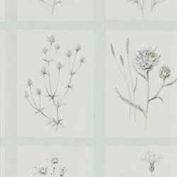 Обои Sanderson Embleton Bay Little Thistles 216513