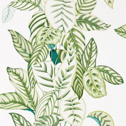 Обои Sanderson The Glasshouse Calathea 216630