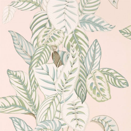 Обои Sanderson The Glasshouse Calathea 216632