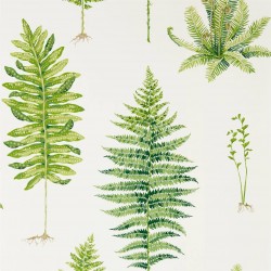 Обои Sanderson The Glasshouse Fernery 216633