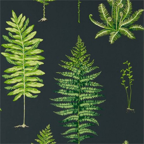 Обои Sanderson The Glasshouse Fernery 216634