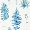 Обои Sanderson The Glasshouse Fernery 216635