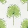 Обои Sanderson The Glasshouse Fan Palm 216636