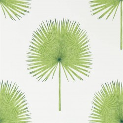 Обои Sanderson The Glasshouse Fan Palm 216636
