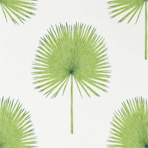 Обои Sanderson The Glasshouse Fan Palm 216636