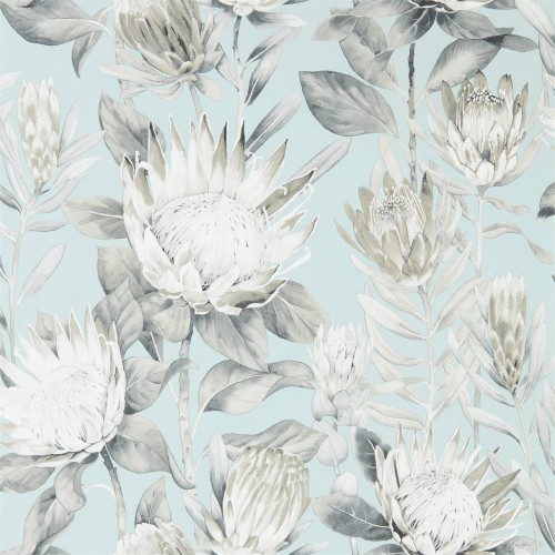 Обои Sanderson The Glasshouse King Protea 216645 Обои Sanderson The Glasshouse King Protea 216645