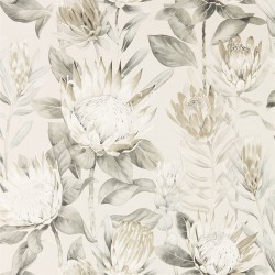 Обои Sanderson The Glasshouse King Protea 216647