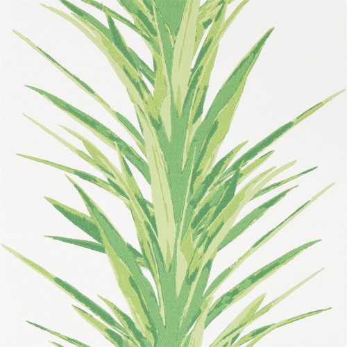 Обои Sanderson The Glasshouse Yucca 216649