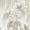 Обои Sanderson The Glasshouse Bird of Paradise 216652