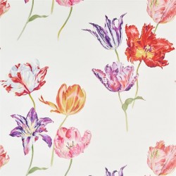 Обои Sanderson The Glasshouse Tulipomania 216666