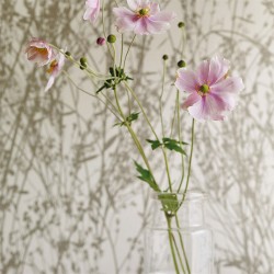 Обои Sanderson Woodland Walk Meadow Canvas 215697