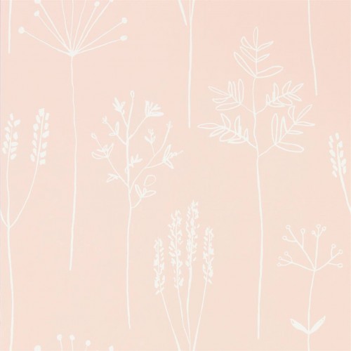 Обои Scion Zanzibar Stipa 112018 Обои Scion Zanzibar Stipa 112018