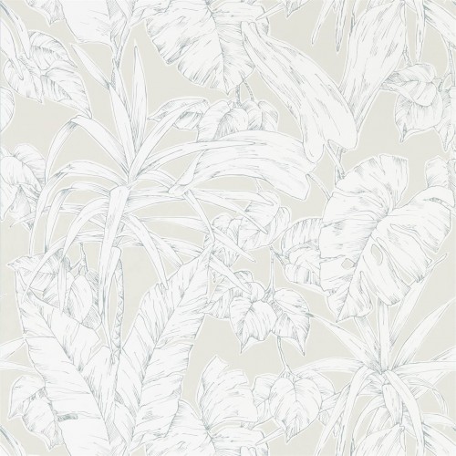 Обои Scion Zanzibar Parlour Palm 112026 Обои Scion Zanzibar Parlour Palm 112026