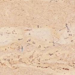 Пробковый пол клеевой Corkstyle Natural Cork Comprido Creme 915×305×6