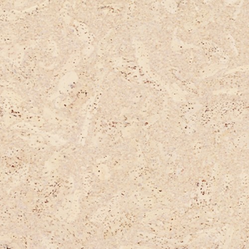 Пробковый пол замковый Corkstyle Eco Cork Madeira Creme 915×305×10,5 Пробковый пол замковый Corkstyle Eco Cork Madeira Creme 915×305×10,5