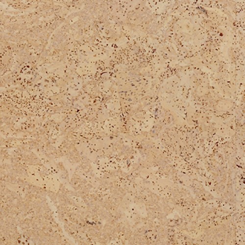 Пробковый пол клеевой Corkstyle Eco Cork Madeira Sand