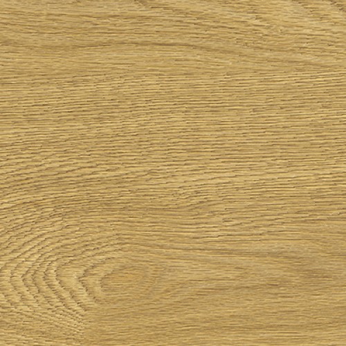 Пробковый пол клеевой Corkstyle Wood XL Oak Delux