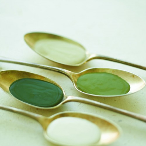 Краска Little Greene цвет Olive Colour 72 Absolute Matt 0,06 л Краска Little Greene цвет Olive Colour 72 Absolute Matt 0,06 л