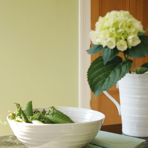 Краска Little Greene цвет Eau-de-Nil 90 Absolute Matt 0,06 л Краска Little Greene цвет Eau-de-Nil 90 Absolute Matt 0,06 л