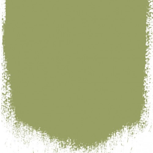 Краска Designer Guild цвет Asparagus Fern 94
