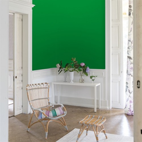 Краска Designer Guild цвет Emerald 92