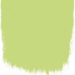 Краска Designer Guild цвет Lime Tree 96