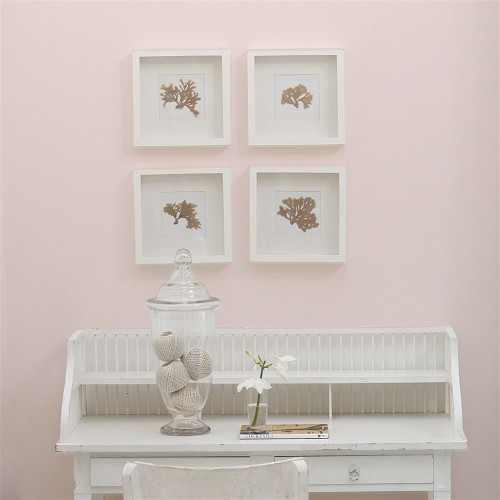 Краска Designers Guild цвет Mother Of Pearl 126 Perfect Matt 0.125 л Краска Designers Guild цвет Mother Of Pearl 126 Perfect Matt 0.125 л