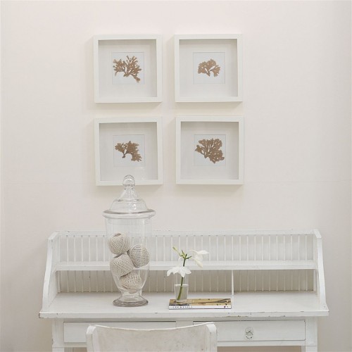 Краска Designers Guild цвет Stucco White 5 Perfect Matt 0.125 л Краска Designers Guild цвет Stucco White 5 Perfect Matt 0.125 л