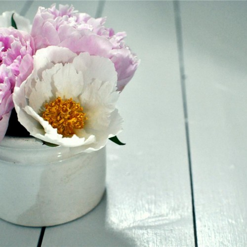 Краска Farrow & Ball цвет Blackened 2011 Estate Emulsion 0,1 л Краска Farrow & Ball цвет Blackened 2011 Estate Emulsion 0,1 л