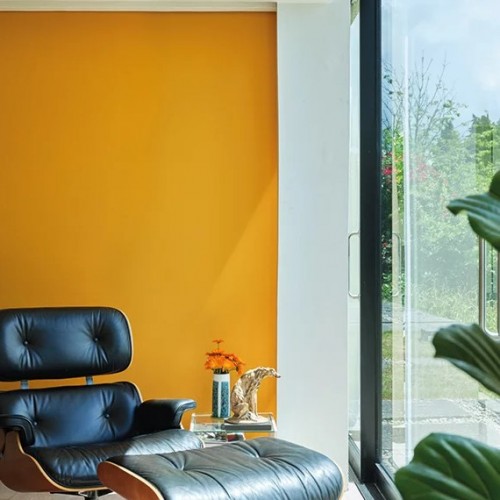 Краска Farrow & Ball Colour by Nature цвет Dutch Orange W76 фото в интерьере