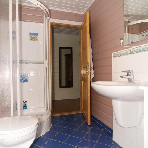 Краска Farrow & Ball цвет Dead Salmon 28 Estate Emulsion 0,1 л