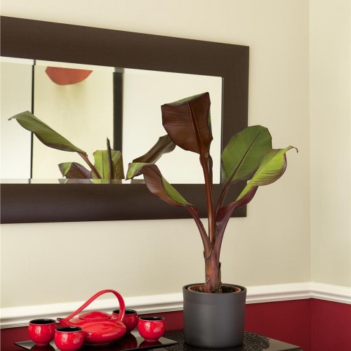 Краска Farrow & Ball цвет Eating Room Red 43 Estate Emulsion 0,1 л Краска Farrow & Ball цвет Eating Room Red 43 Estate Emulsion 0,1 л