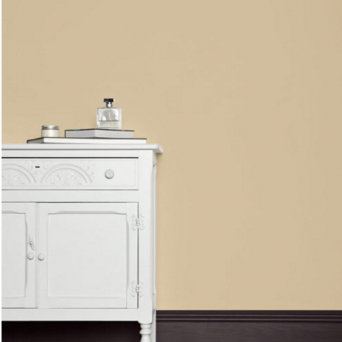 Краска Farrow & Ball цвет Savage Ground 213 Exterior Masonry 5 л Краска Farrow & Ball цвет Savage Ground 213 Exterior Masonry 5 л