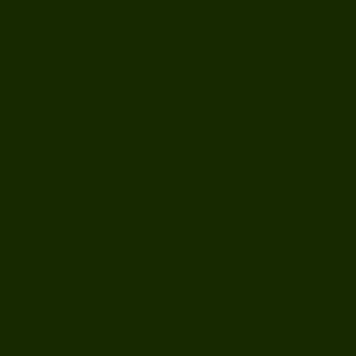 Краска Argile цвет Spiruline V33 Satin Couvrant 0.75 л