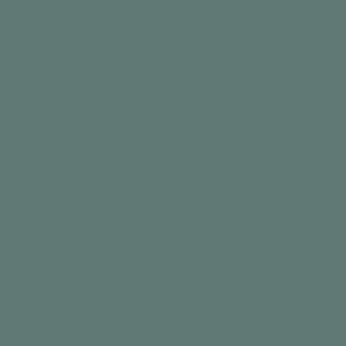 Краска Swiss Lake цвет Spirulina NC36-0809 Intense resistance plus 2.7 л