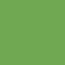 Краска Swiss Lake цвет Green Pear SL-2497 Tactile 3 0.9 л