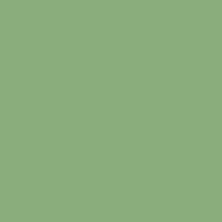 Краска Swiss Lake цвет Wasabi SL-2704 Semi-matt 20 0.9 л