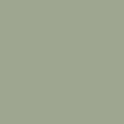 Краска Swiss Lake цвет Frosty Green SL-2638 Intense resistance plus 2.7 л