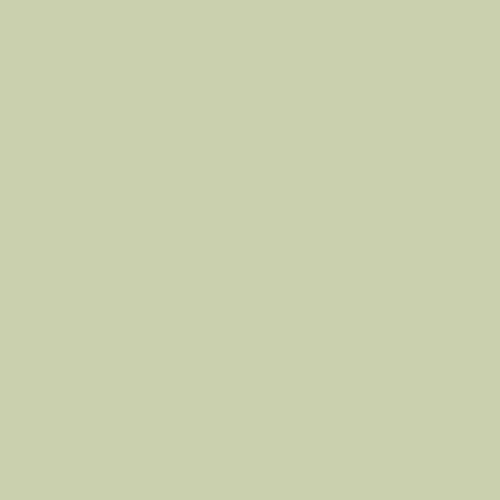 Краска Swiss Lake цвет Juicy Greens NC37-0818 Semi-matt 20 9 л