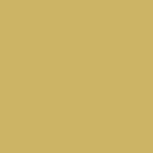 Краска Swiss Lake цвет Golden Opportunity SL-0970 Wall Comfort 7 2.7 л