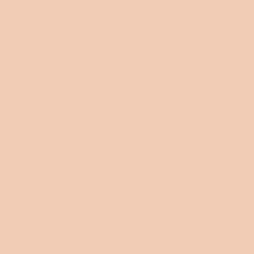 Краска Swiss Lake цвет Peach Nimb SL-1158 Intense resistance plus 9 л