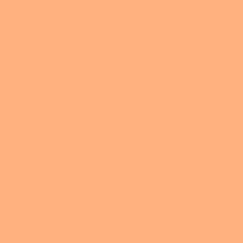Краска Swiss Lake цвет Spiced Orange SL-1174 Intense resistance plus 2.7 л