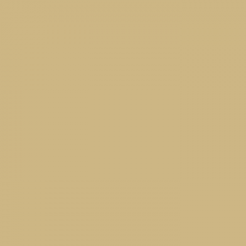 Краска Little Greene цвет Bath Stone 64 Absolute Matt 0,25 л