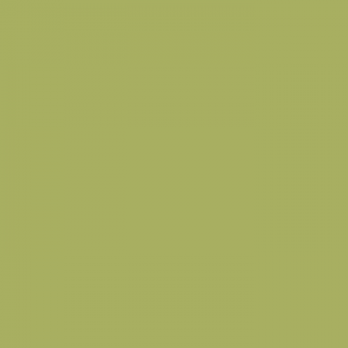 Краска Little Greene цвет Boxington 84 Absolute Matt 0,25 л
