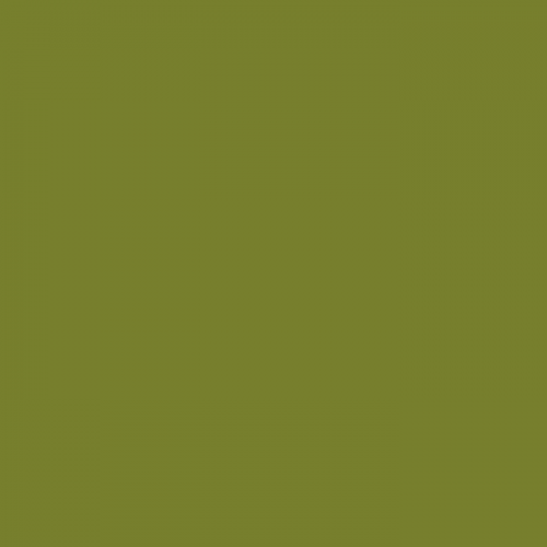 Краска Little Greene цвет Citrine 71 Acrylic Matt 10 л
