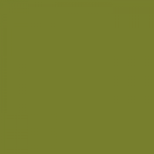 Краска Little Greene цвет Citrine 71 Absolute Matt 0,25 л