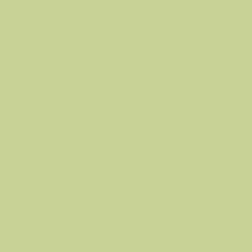 Краска Little Greene цвет Eau-de-Nil 90 Exterior Masonry 10 л