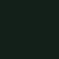 Краска Little Greene цвет Obsidian Green 216 Absolute Matt 0,25 л